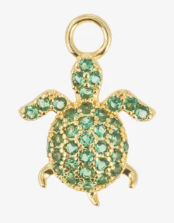 Cassandra Charm