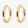 Gold Hoop Earrings - Small