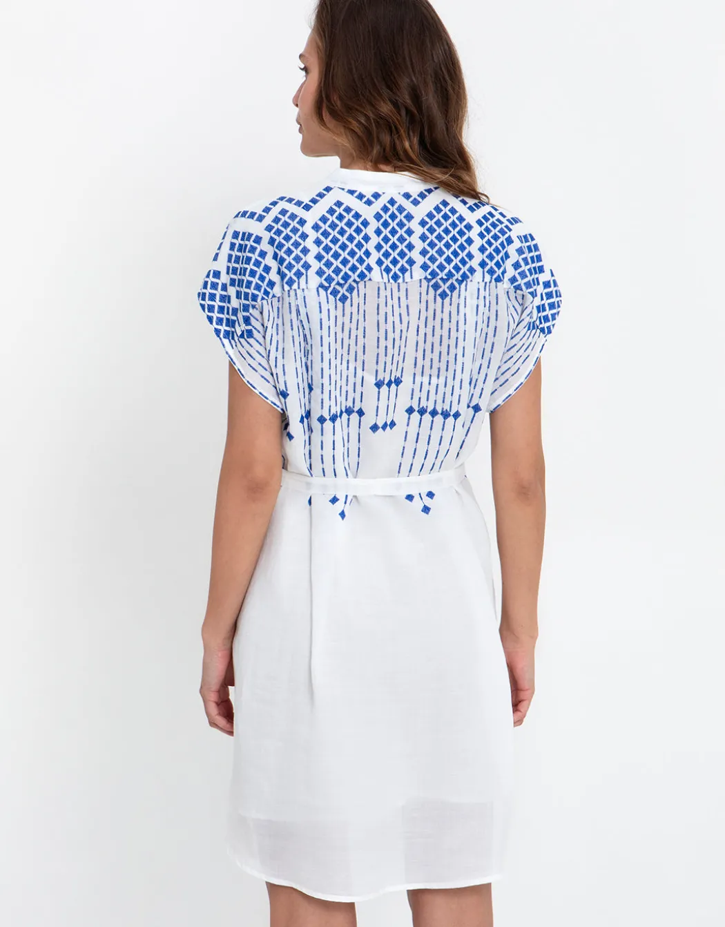 Grape Mini Shirt Dress - White and Blue
