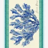 Seaside Breeze Pareo - Blue